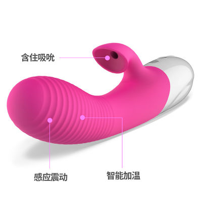 ROHS USB Charging Rabbit Vibrator Sex Toys For G Spot Clitoris Stimulator